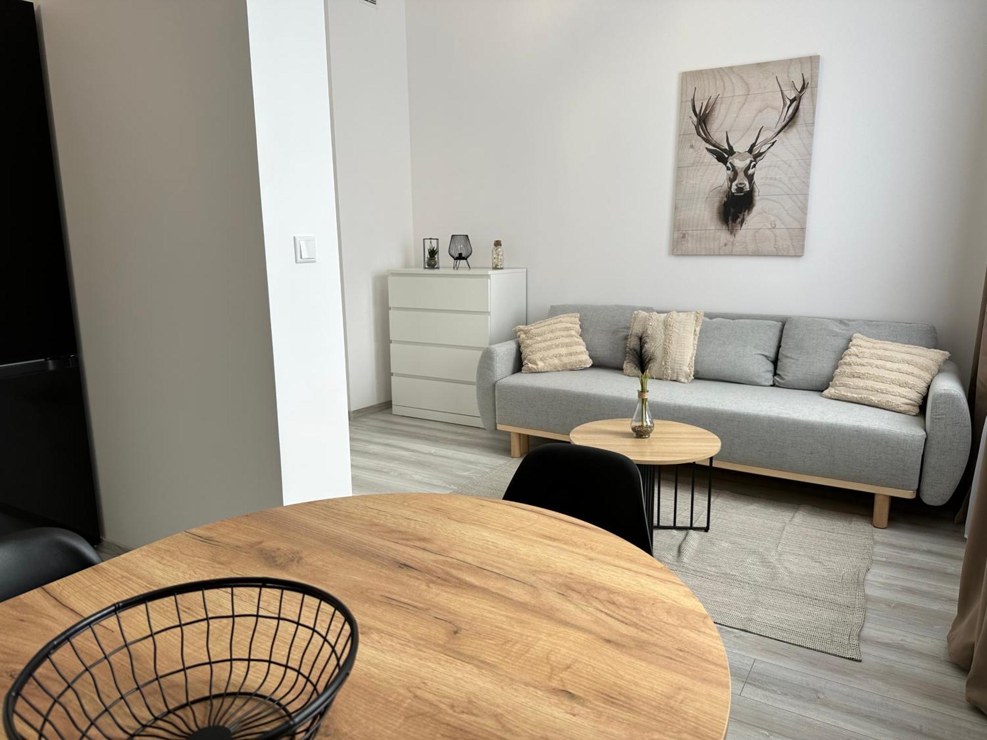 Apartamenty Przy Deptaku 슈비노우이스쳬 외부 사진